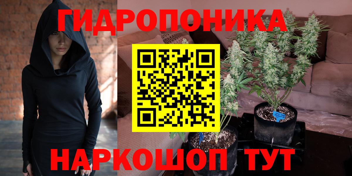 Канабис тримм  Вход с VPN  Канабис AK-47  Бошки Шишки White Widow  Котлас 